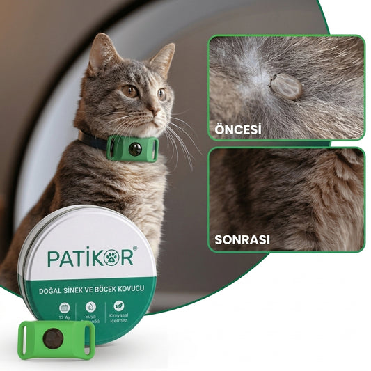 PatiKor™ - Kedi & Köpek İçin Yıl Boyu Sinek ve Böcek Koruyucu